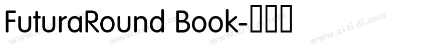 FuturaRound Book字体转换
